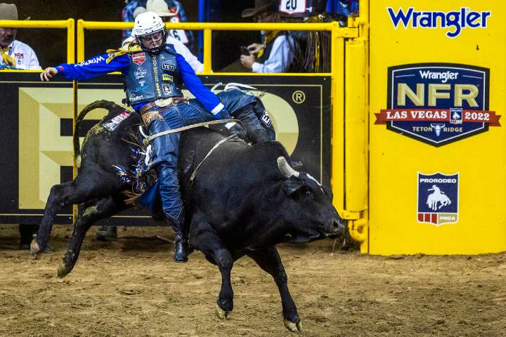 2025 NFR: Equine Herpesvirus outbreak among things to watch 