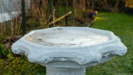 8 Things To Put In Your Bird Bath To Prevent It From Freezing