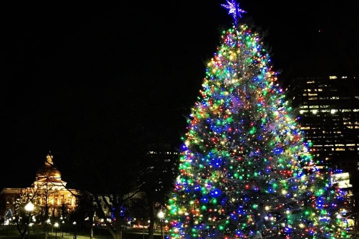 Esto es lo que debes saber sobre el famoso encendido de la Navidad del Boston Common