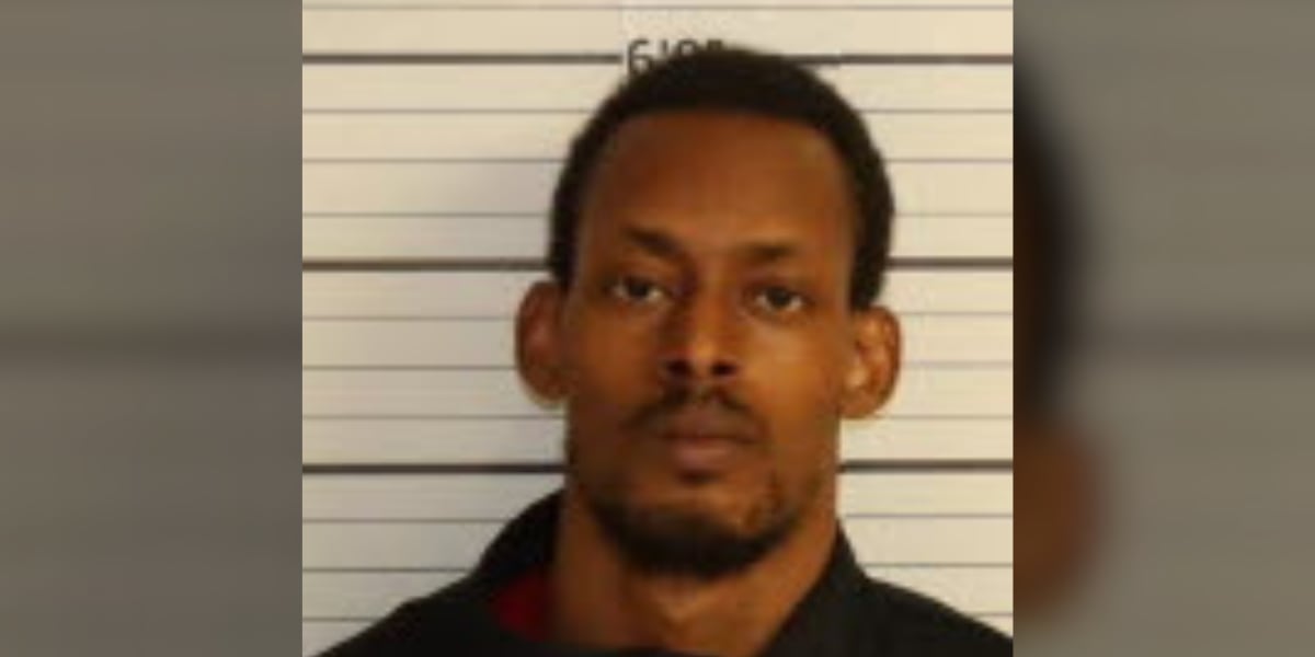 Memphis Safe Task Force arrests felons on outstanding warrants for firearm possession, alleged attack on ex