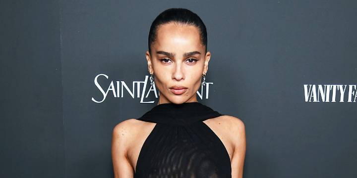 Zoë Kravitz Holds Hands With Her Rumored New Lover, and Fans Can't Help but Compare Him to Her Ex