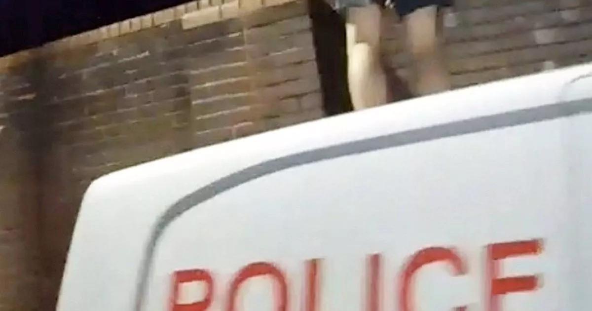 Moment suspect leaps onto police van shouting 'I'm not going back to jail'