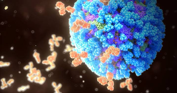 What you need to know about 'mutant' H3N2 virus driving flu wave