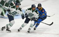 Deadspin | PWHL's Boston Fleet to play home game at TD Garden