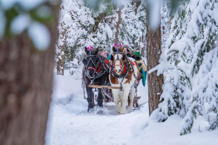 7 enchanting sleigh rides in Upstate NY to make your winter magical