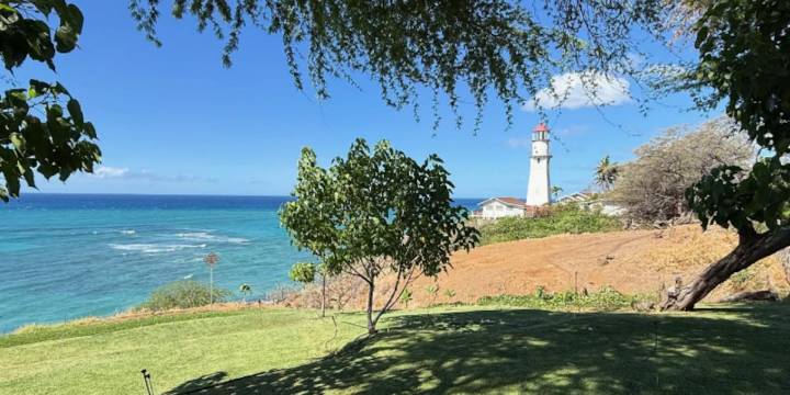 Volunteer group restoring a Diamond Head slope seeking more water for its efforts