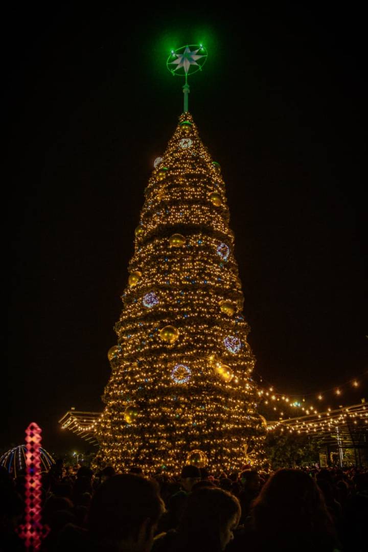 Inician juarenses celebraciones decembrinas con encendido del Árbol de Navidad
