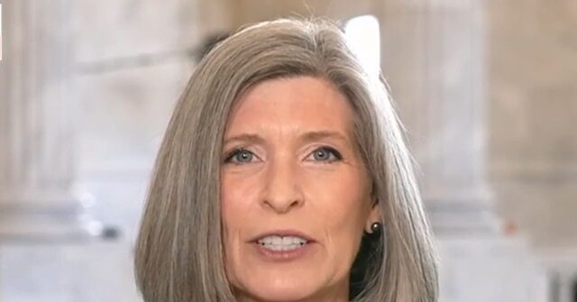 Exclusive: Sen. Ernst Says There's 'Virtually No Auditing' of SNAP Program; Introduces Legislation to Fix