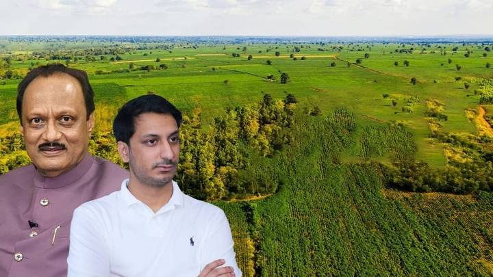 Govt Had Asked Botanical Survey Of India To Vacate Mundhwa Plot India News