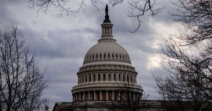 DOGE Isn’t Dead. Here’s What Its Operatives Are Doing Now