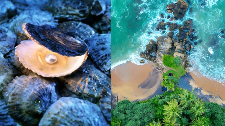 This Country Is Called The Pearl Of The Indian Ocean; Can You Guess Its Name?