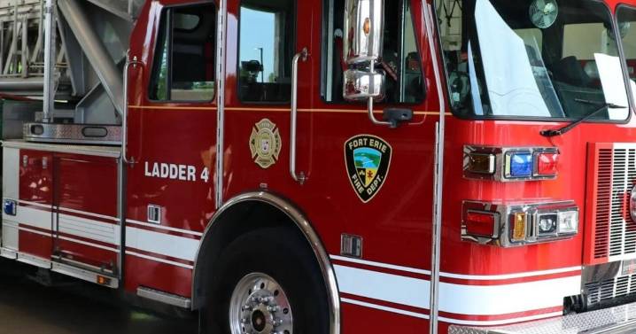 30 cats lost in fire at Fort Erie animal sanctuary