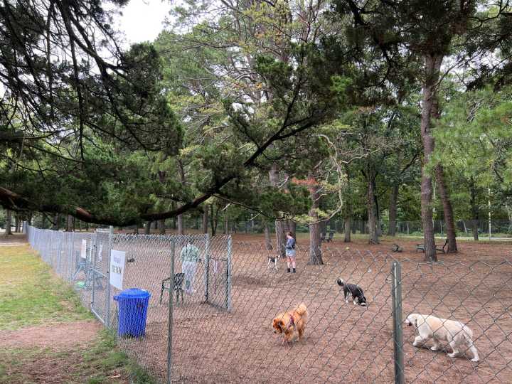 Barrington officials look for ways to pay for dog waste pick