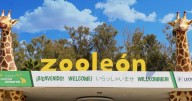 Cierran Zoológico de León por denuncias de maltrato y muertes de animales