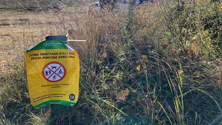 IRTA-CReSA: "no se dispone de ninguna evidencia científica que explique el origen del brote”