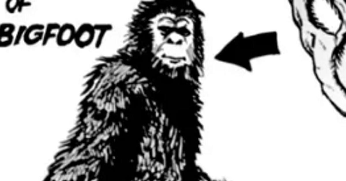 Bigfoot hunters using state-of-the-art tech to solve massive mystery