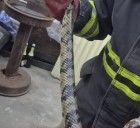 ¡Que susto! Encontraron una lampalagua de más de 2 metros en su casa