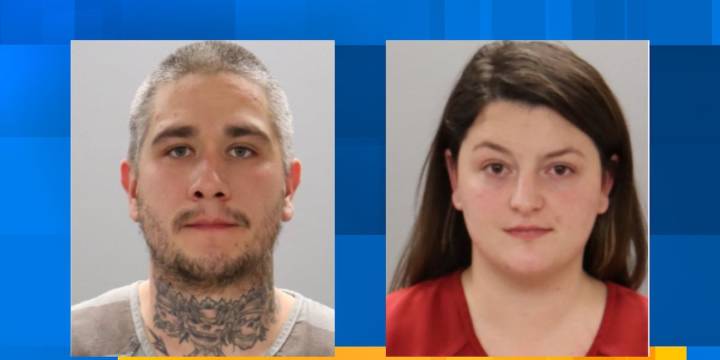 Bust in Farragut area nets guns, drugs and ammo, court documents say