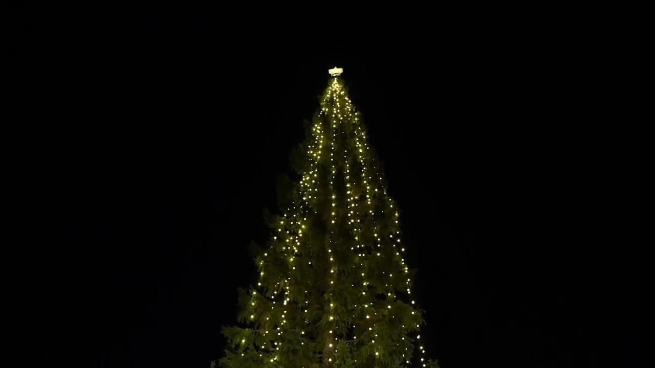 Christmas tree from Norway lit up in London's Trafalgar Square