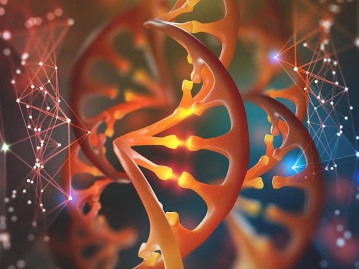 Terapia génica china elimina VIH en modelos preclínicos