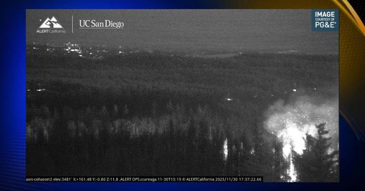 CAL FIRE battles tree pile blaze in Cohasset