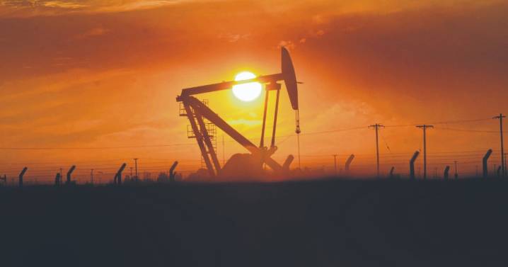 Santa Cruz suma nuevos jugadores y licita más áreas