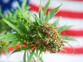 Trump Might Ease Federal Cannabis Restrictions Next Week