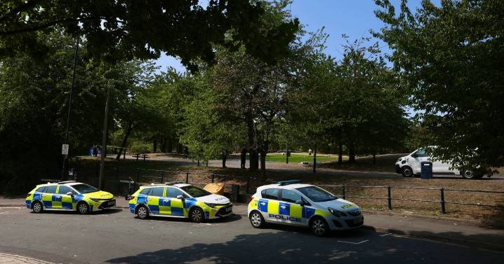 Balaclava-wearing thugs are beating up men in Bristol park