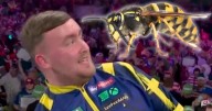 Ally Pally wasp delights darts fans by buzzing back to life after assassination attempt