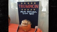 Halloween Photo of President 'Trumpkin' Released by House Oversight Committee