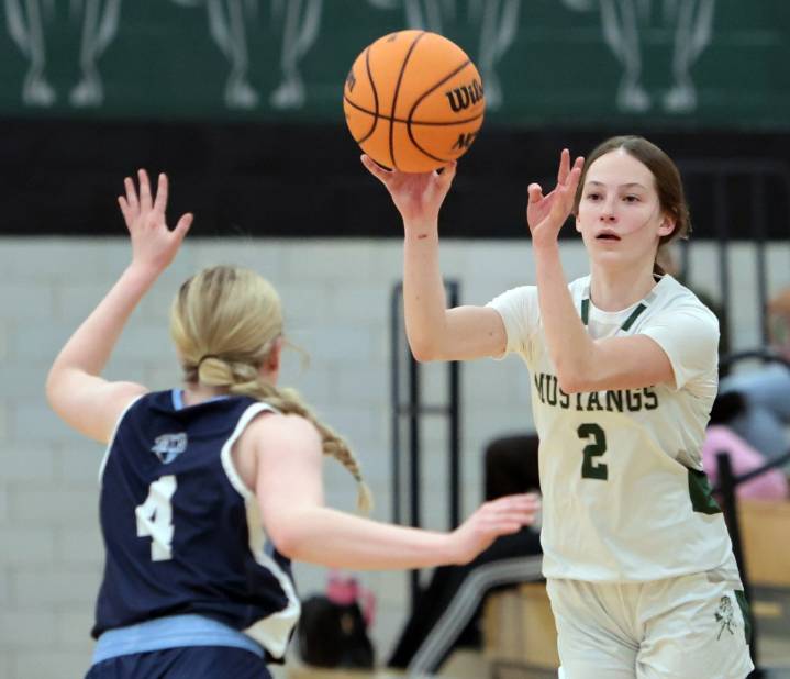 Basketball and local scores for south, west, north suburbs