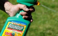 Retiran estudio clave que defendía al glifosato por sus vínculos con Monsanto