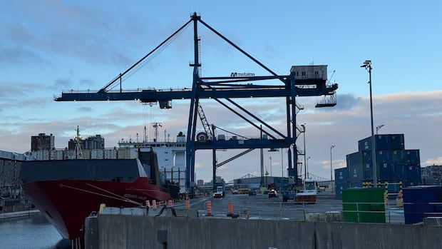 Residents of Quebec town worry Port of Montreal expansion will ruin their 'natural treasure'