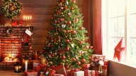 Qué pasa si no renovás el arbolito de Navidad cada siete años