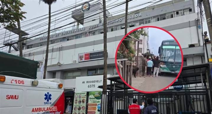 Chorrillos: Asesinan a balazos a chofer de bus de la Línea 20, hay una pasajera herida