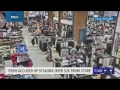 Sheriff Judd: 8 teens arrested for stealing $2,000 worth of items from Dick's Sporting Goods