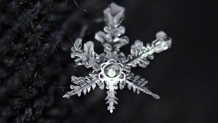 How are the roads? Check live cameras from Evansville highways, plows