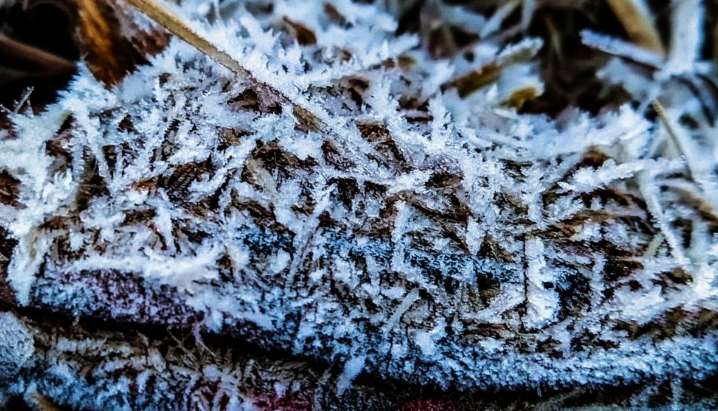 Kandhamal reels under severe cold, frost reported in several areas