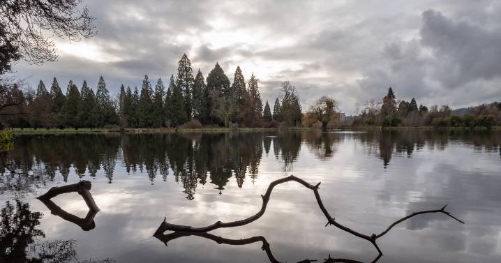 Whooping Cough Cases in Oregon Surpass Annual Record