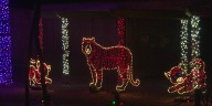 Henry Vilas Zoo lights show canceled this weekend ahead of dangerously cold weather