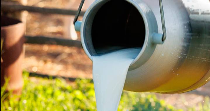 Ratifican sanción a cuatro compañías por vender lactosuero como «lecher entera»