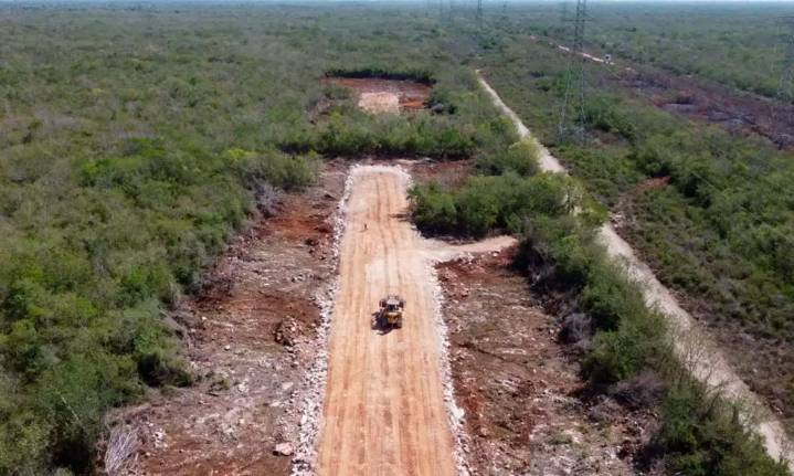 Organizaciones denuncian impactos irreversibles del Tren Maya