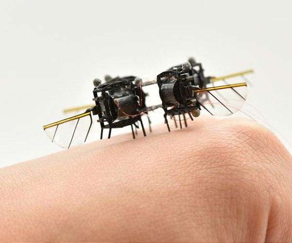 MIT engineers design an aerial microrobot that can fly as fast as a bumblebee