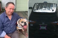 Taxi driver's body found dumped in upstate NY reservoir -- as killer makes off with his cab: cops