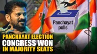Panchayat Election: Congress Won In Majority Of The Seats