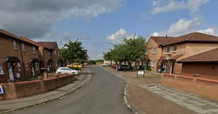 Brothers chased attacker who was disarmed by his mum into street, one armed with meat cleaver