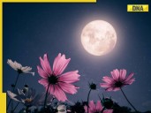 Full Moon December 2025: When, where to see rare cold supermoon TODAY, will it b