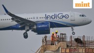 IndiGo board appoints external aviation expert for flight disruptions probe