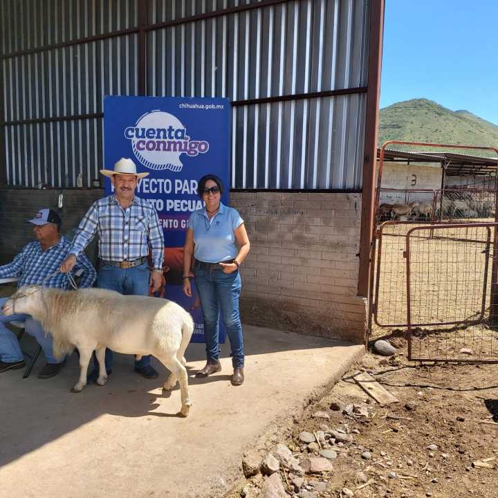 Invierte Estado más de 10 mdp en el mejoramiento genético del ganado