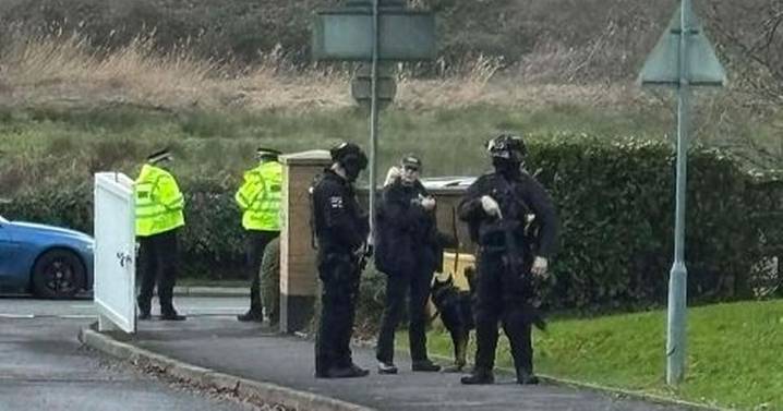 Armed police swoop as UK school locked down after 'threats to kill'
